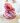 begonia-ultra-pink-4